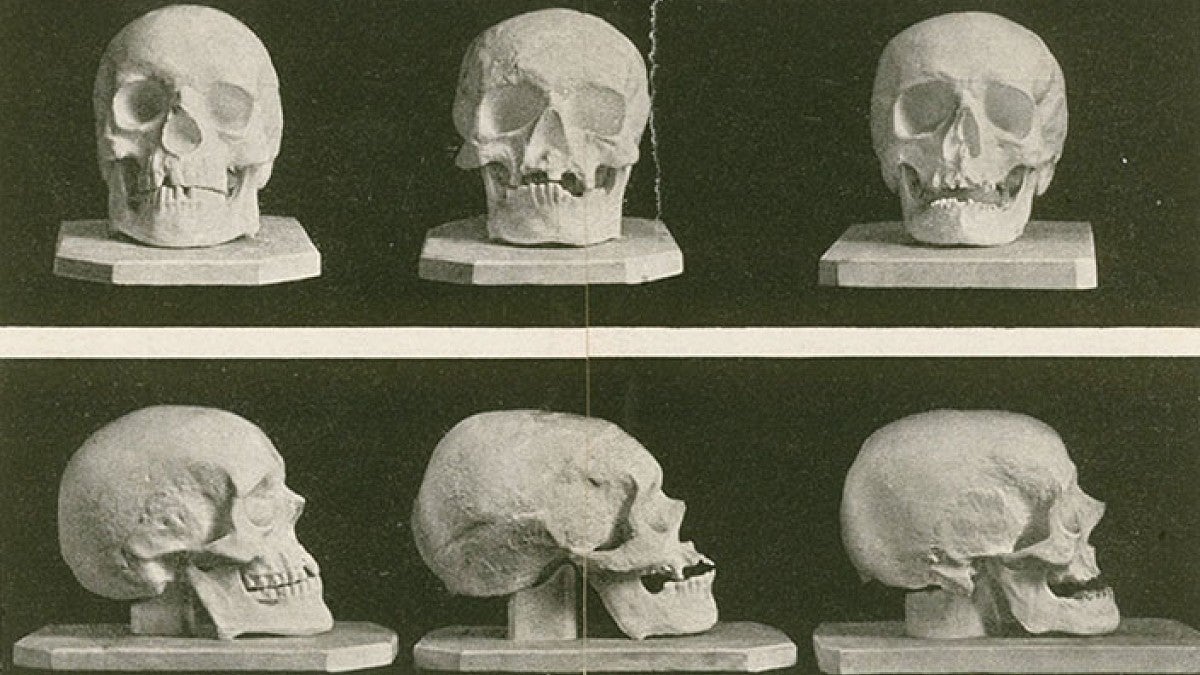 six skulls