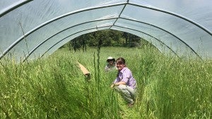 research site in california