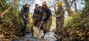 students in a creek cleaning out debris