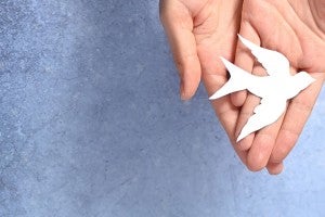 Hands holding a paper dove cutout