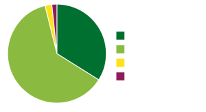 Pie chart of enrollment of students by ethnic identity