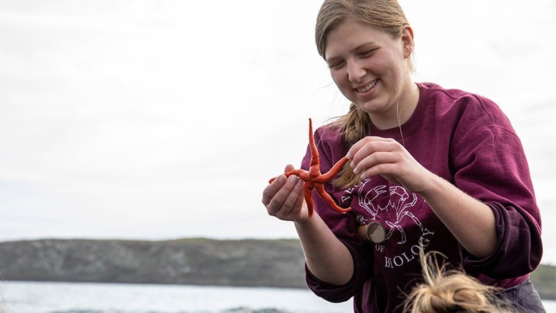 A student working near the coast holding up a starfish