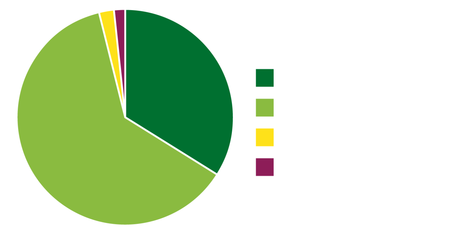 Pie chart of enrollment of students by ethnic identity