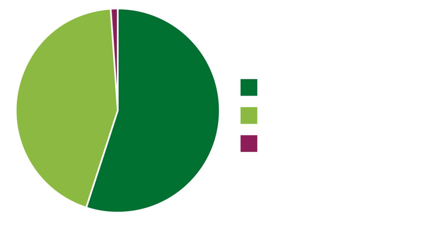 Pie chart of students by gender identity