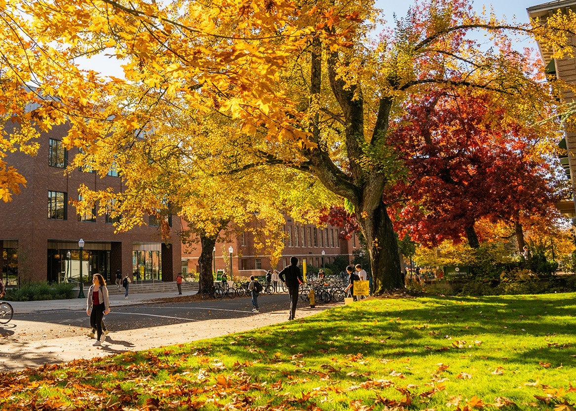 Students waking under golden fall foliage on campus.