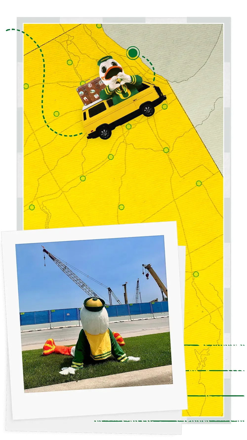 The Oregon Duck sitting on a patch of grass looking at a construction site