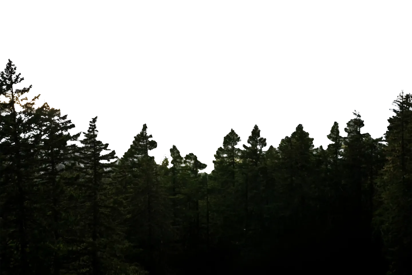 Layer 3