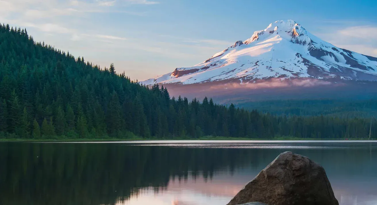 Landscape of a mountain, forest, and lake