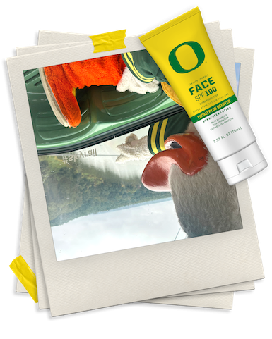 Upside down photo of the Oregon Duck on a sky rail