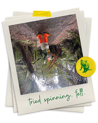 upside down photo of The Duck standing under a large fern