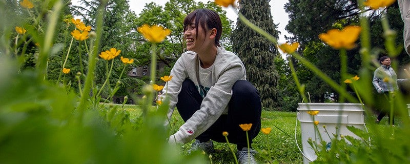 a person crouched near a flower bed
