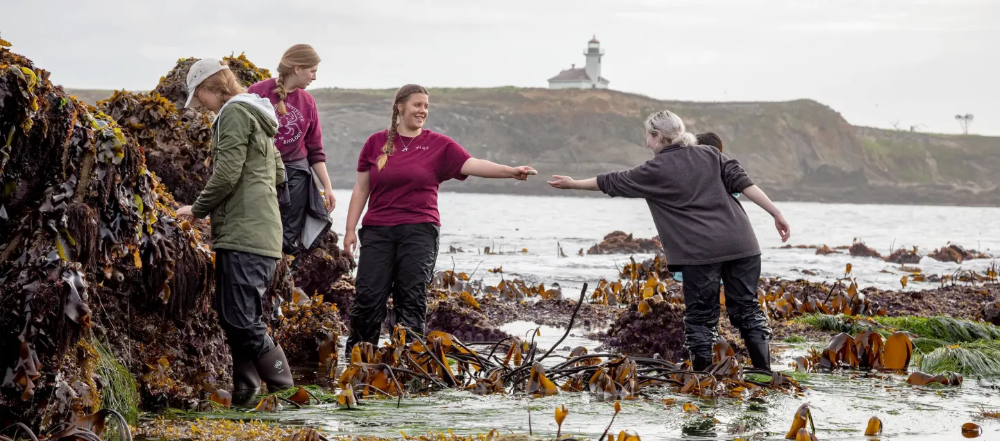 OIMB students collect samples in the bay at low tide in Charleston, Oregon