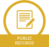 Public Records Icon