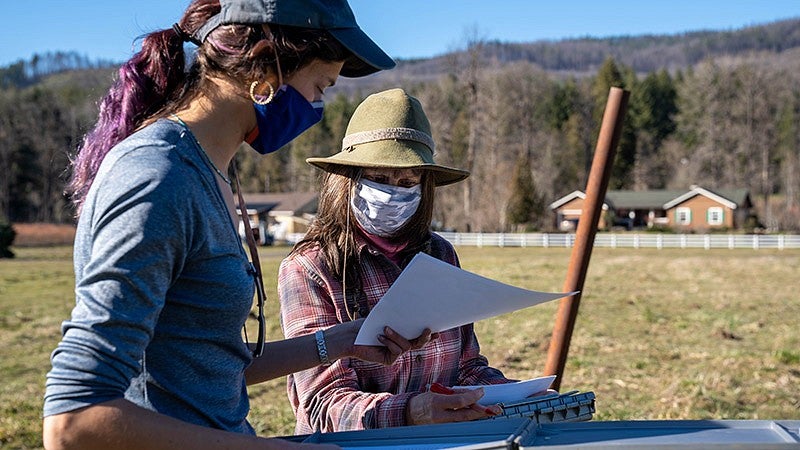 lauren ponisio looking at data on paper