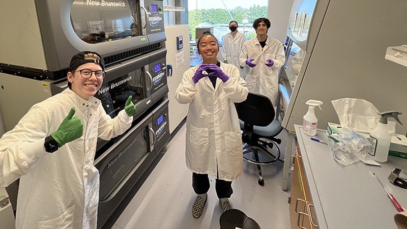 students working in a lab