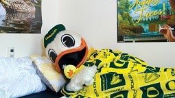 The Duck laying in bed covered with an Oregon logo blanket.