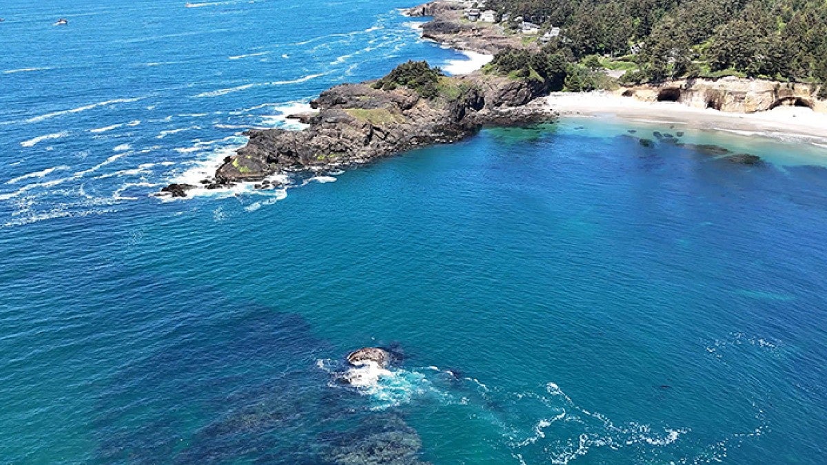 Birds-eye view of Otter Rock shoreline