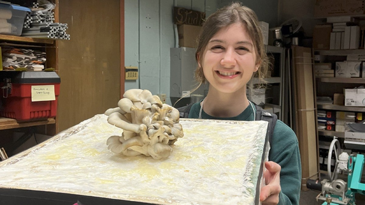 Undergraduate researcher Charlotte Kamman holds up mushrooms on a tray