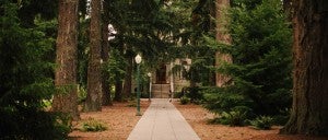 The path to University Hall