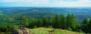 View of the Willamette Valley from the top of Spencer Butte