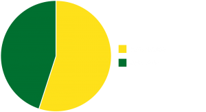 Pie chart of students by gender identity