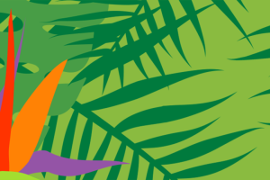 Tropical leaves on a green background