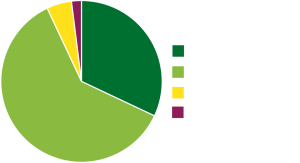 Pie chart of enrollment of students by ethnic identity