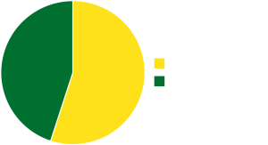 Pie chart of students by gender identity