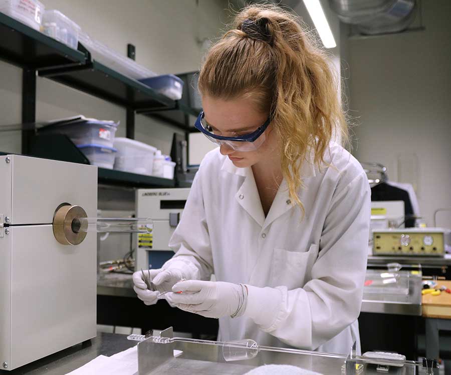 Katie LaChasse working in a lab
